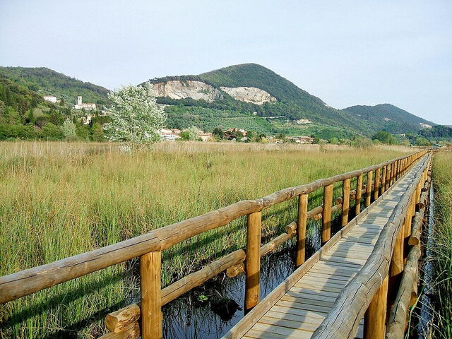 Lago de Massaciuccoli