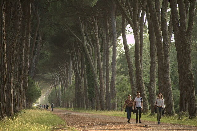 Parque Natural de Migliarino San Rossore Massaciuccoli