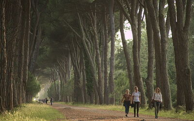Parque Natural de Migliarino San Rossore Massaciuccoli