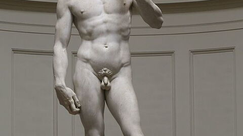 David de Miguel Ángel