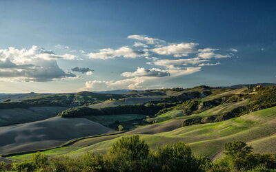Il Nido Di Giulia, vista