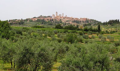Vista de San Gimignano