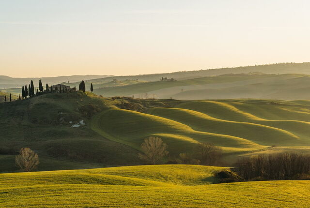 Campo toscano