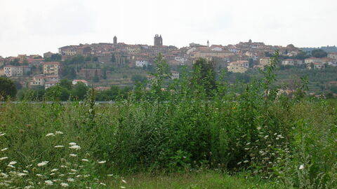 Vista de Monte San Savino