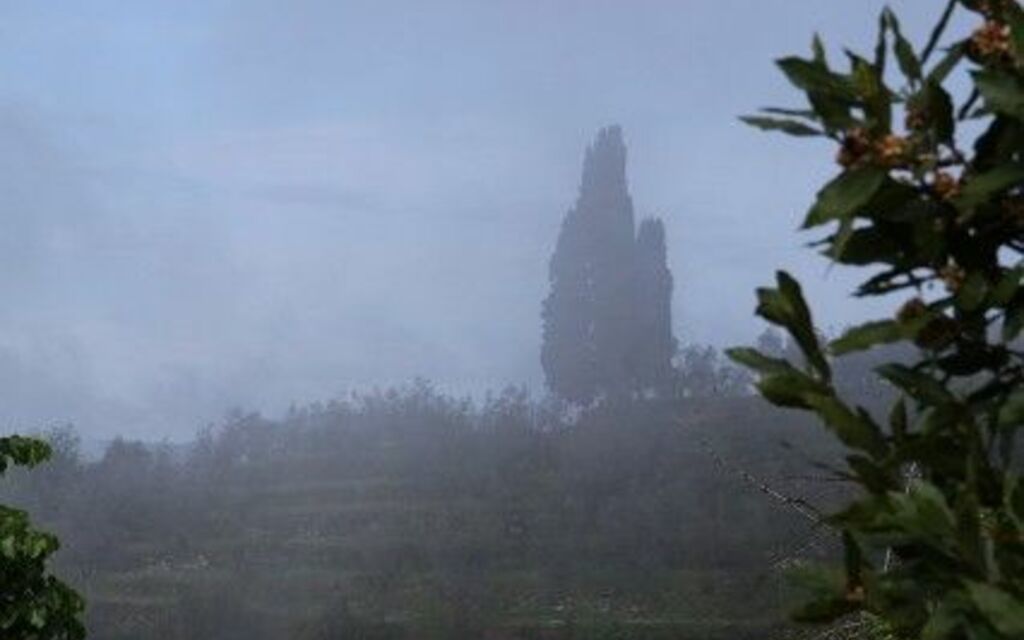 SUN ALWAYS SHINES IN TOSCANA