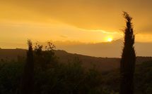 Fotos enviadas por los huéspedes de La Casina del Bosco