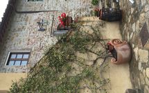 Fotos enviadas por los huéspedes de Villa Sonia