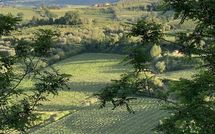 Fotos enviadas por los huéspedes de Villa la Vedetta