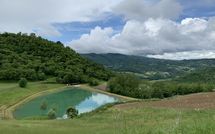 Fotos enviadas por los huéspedes de Fattoria Il Monte
