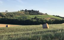 Fotos enviadas por los huéspedes de Cerretalta