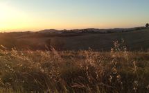 Fotos enviadas por los huéspedes de Casa Cipressi