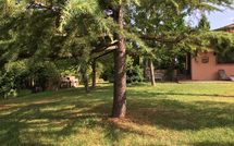 Fotos enviadas por los huéspedes de Casa Cipressi