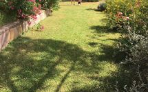 Fotos enviadas por los huéspedes de Casa Cipressi