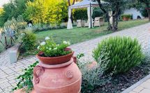 Fotos enviadas por los huéspedes de Gli Appartamenti di Manuela