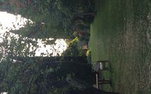 Fotos enviadas por los huéspedes de Montegufoni