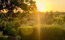 Fotos enviadas por los huéspedes de Country House Il Galleto