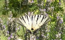 Fotos enviadas por los huéspedes de Molino Santa Lucia
