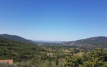 Fotos enviadas por los huéspedes de La Montanina