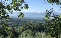 Fotos enviadas por los huéspedes de Villa Flora