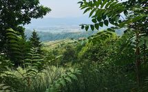 Fotos enviadas por los huéspedes de Villa Filippo