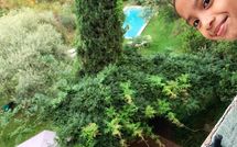 Fotos enviadas por los huéspedes de La Macchietta