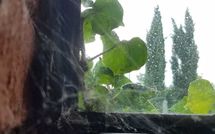 Fotos enviadas por los huéspedes de Tara