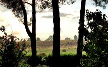 Fotos enviadas por los huéspedes de Pagliazzone