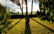 Fotos enviadas por los huéspedes de Pagliazzone