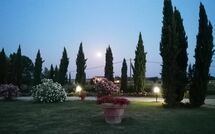 Fotos enviadas por los huéspedes de Podere Marcigliano