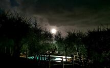 Fotos enviadas por los huéspedes de Villa Mastiano