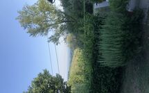 Fotos enviadas por los huéspedes de Magrini