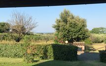 Fotos enviadas por los huéspedes de Poderino