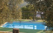 Fotos enviadas por los huéspedes de La Casina del Bosco