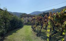 Fotos enviadas por los huéspedes de Bettina!