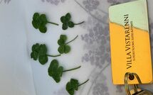 Fotos enviadas por los huéspedes de Contessa di Gaiole