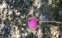 Fotos enviadas por los huéspedes de Contessa di Gaiole