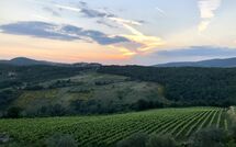 Fotos enviadas por los huéspedes de Contessa di Gaiole