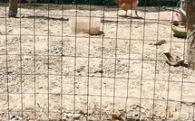 Fotos enviadas por los huéspedes de Pagliazzone