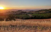 Fotos enviadas por los huéspedes de Scansano 100