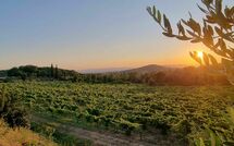 Fotos enviadas por los huéspedes de Villa Giotto