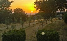 Fotos enviadas por los huéspedes de Fattoria le Chianacce