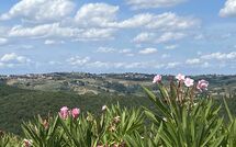 Fotos enviadas por los huéspedes de Fattoria di Quercia al Poggio