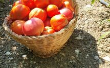 Fotos enviadas por los huéspedes de Torre del Cielo