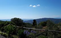 Fotos enviadas por los huéspedes de Casetta i Ciliegi