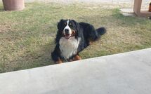 Fotos enviadas por los huéspedes de La Casetta nel Bosco