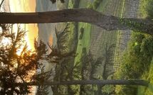 Fotos enviadas por los huéspedes de Radda in Chianti 850