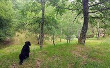 Fotos enviadas por los huéspedes de Vignoli