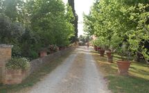 Fotos enviadas por los huéspedes de Tenuta Il Tresto