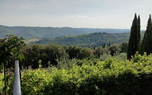 Fotos enviadas por los huéspedes de Pozza di Volpaia