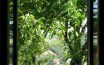 Fotos enviadas por los huéspedes de Val di Gallo 4